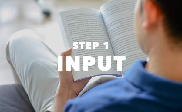 step01_input