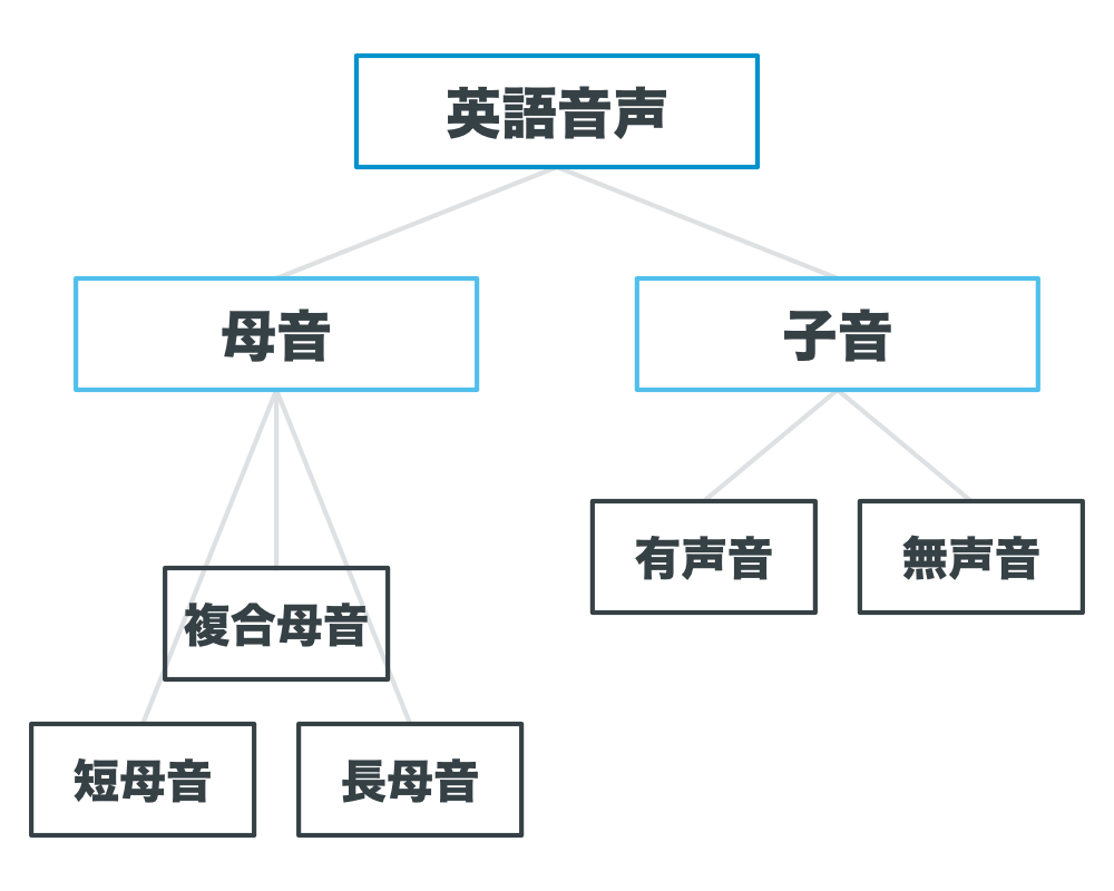 英語の発音の構成